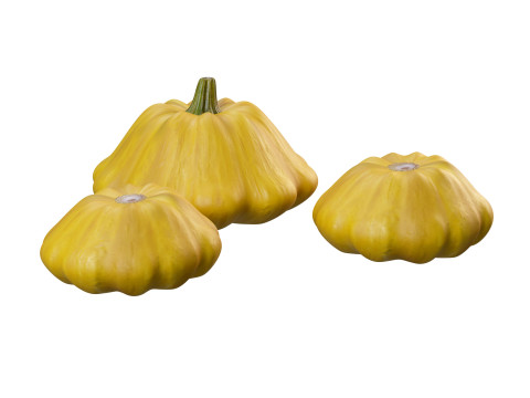 Stylized Pumpkin Set 3D Model
