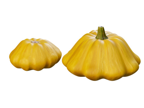 Stylized Pumpkin Set 3D Model