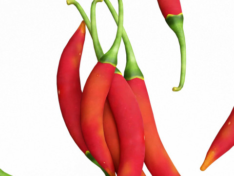 Червоний перець чилі 3D Модель