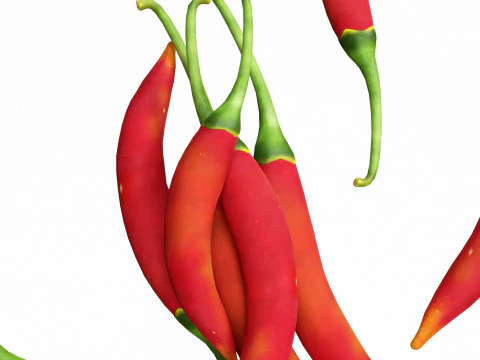 Красный перец чили 3D Модель