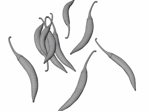 Червоний перець чилі 3D Модель