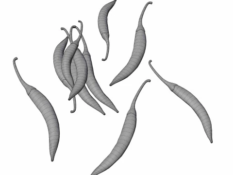 Красный перец чили 3D Модель