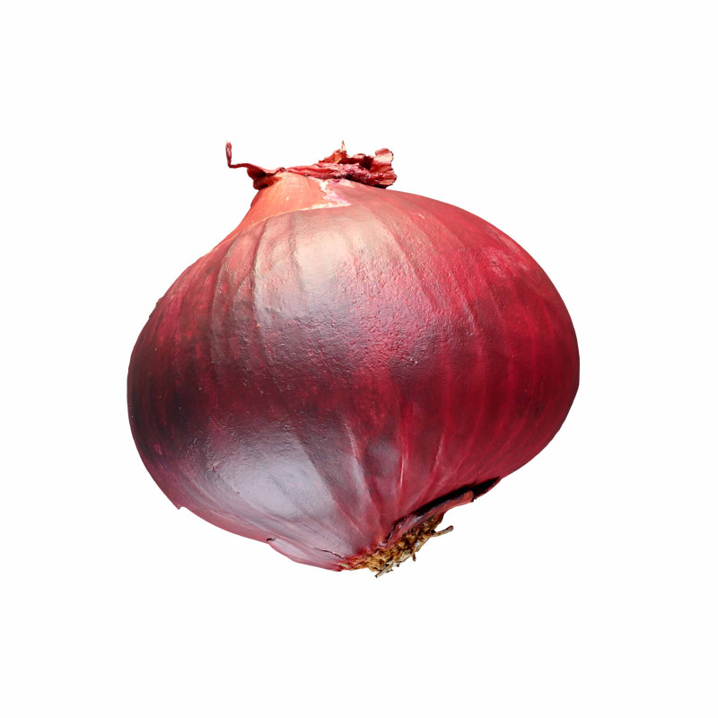 Red Onion Model 3D .c4d .max .obj .3ds .fbx .stl .blend