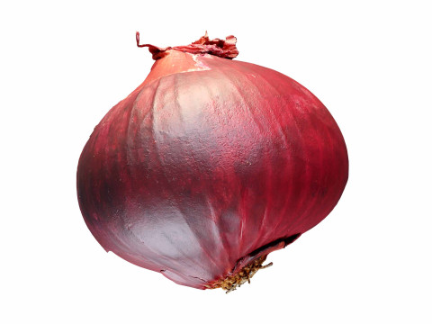 Red Onion Modello 3D