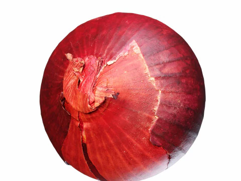 Red Onion 3D Model