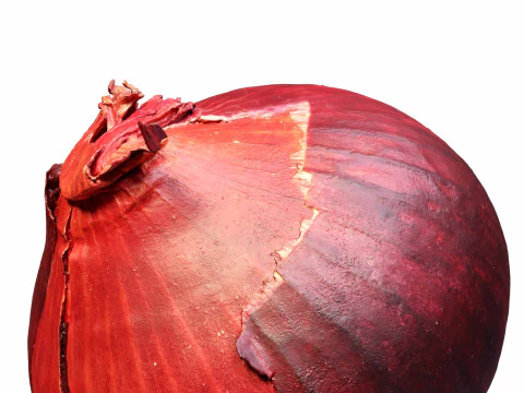 Red Onion 3D Model