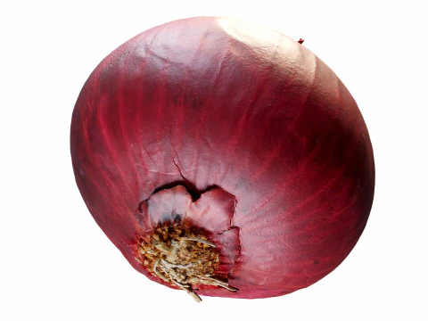 Red Onion 3D Model