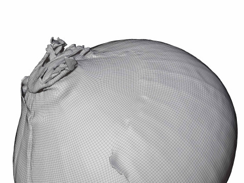 Red Onion Model 3D