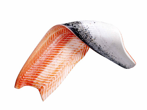 Salmon fish Filet Model 3D