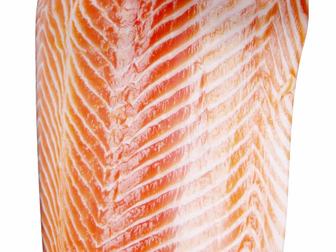 Salmon fish Filet 3D Model