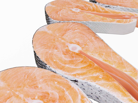 Salmon Fish pices 3Dモデル