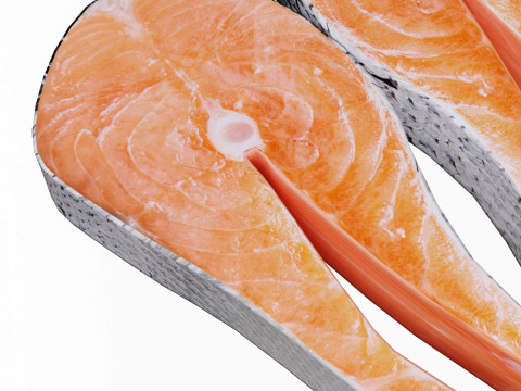 Salmon Fish pices 3Dモデル