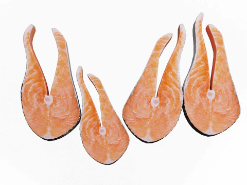 Salmon Fish pices 3D Model