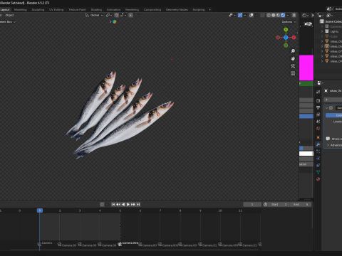 Seabass Fish 3D Model