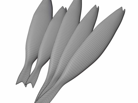 Seabass Fish 3D Model