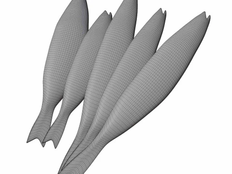 Seabass Fish 3D Model