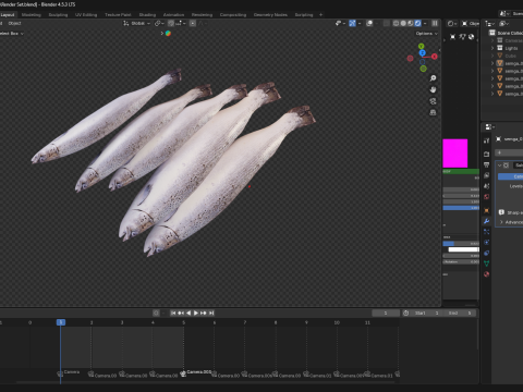 Seabass Fish 3Dモデル