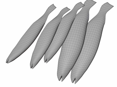 Seabass Fish 3Dモデル