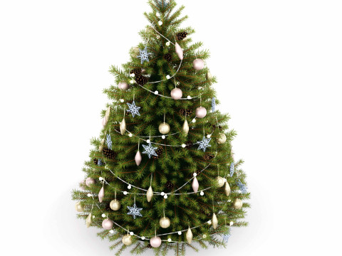 Christmas trees 3D Model