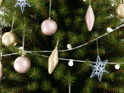 Christmas trees 3D Model