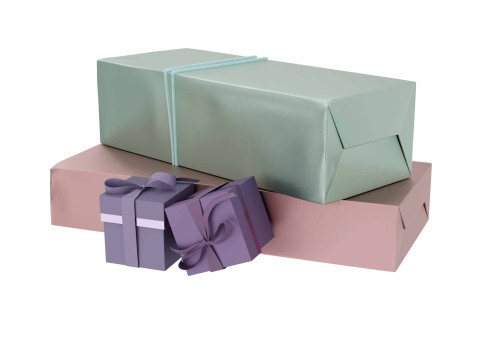 Colourful Gift box 03 3D 模型