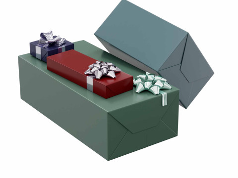 Colourful Gift box 10 3D Model