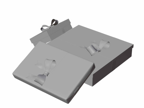 Colourful Gift box 13 3D Model