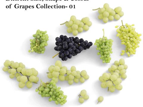 Uva verde e nera Modello 3D