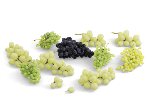 हरे और काले अंगूर 3D मॉडल