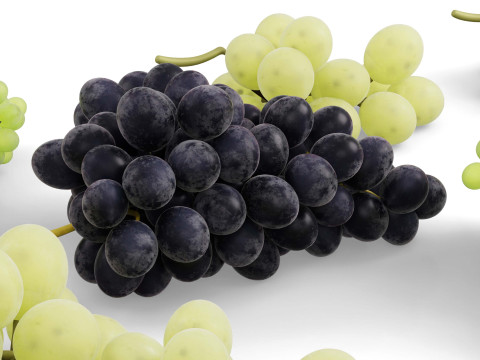 हरे और काले अंगूर 3D मॉडल