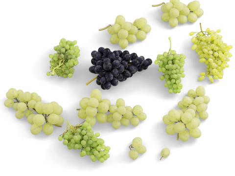 हरे और काले अंगूर 3D मॉडल