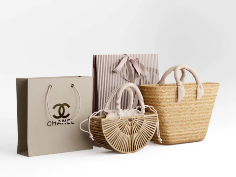 Wicker bamboo and paper bag 3D Model
