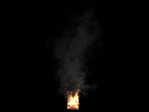 Simulazione del fuocoHoudiniScena personalizzabile Modello 3D