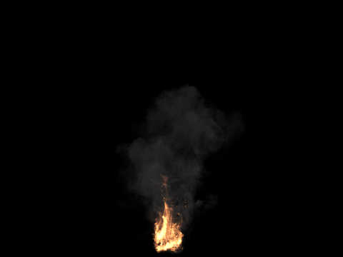 Simulazione del fuocoHoudiniScena personalizzabile Modello 3D