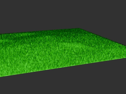 Trawa Model 3D