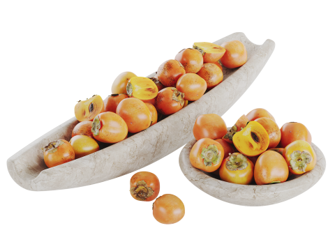 Low Bowl Centerpiece with Persimmons 3D 모델