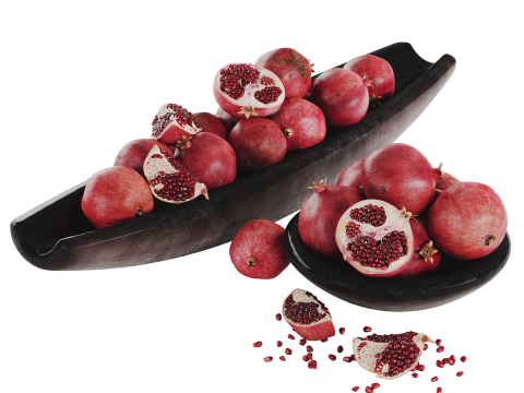 Low Bowl Centerpiece with Pomegranates 3D 모델