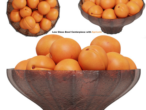 Low Glass Bowl Centerpiece with Apricots 3D 모델