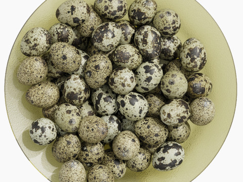 Low Glass Bowl Centerpiece with Qauil eggs 3D Model