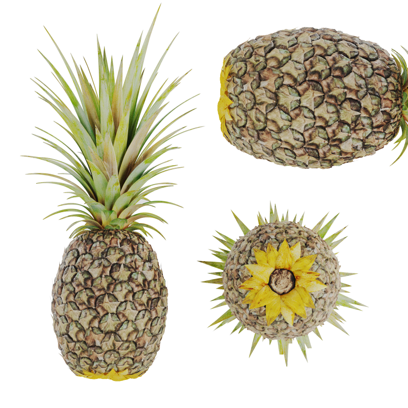 Ananas 3D Model .c4d .max .obj .3ds .fbx .stl .blend 