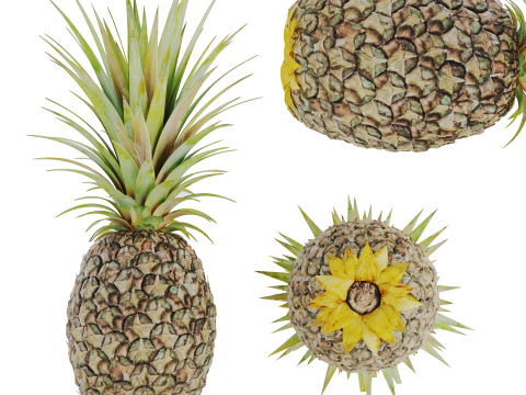 Ananas Modello 3D