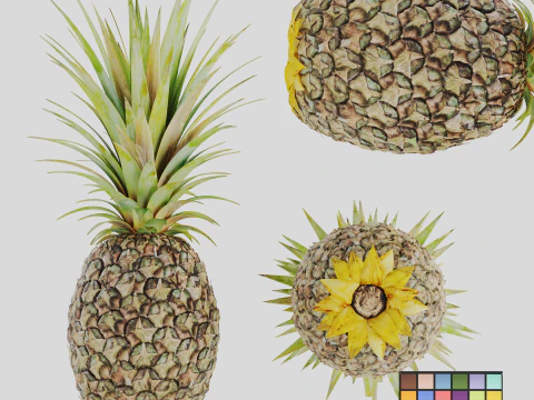 Ananas 3D मॉडल