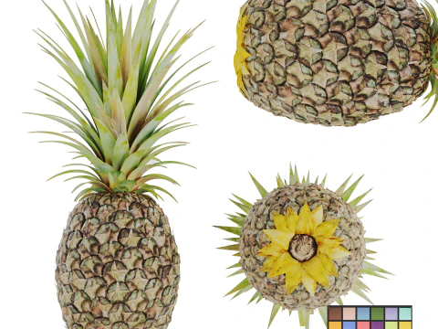 Ananas 3D मॉडल