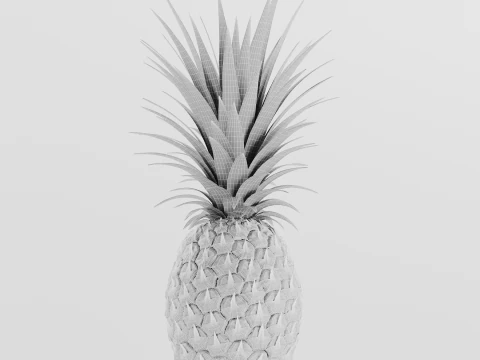 Ananas 3D मॉडल
