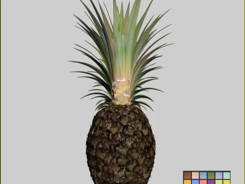 Ananas 3D मॉडल