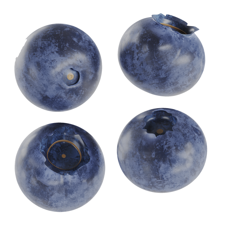 Blueberries 3D 모델 .c4d .max .obj .3ds .fbx .stl .blend