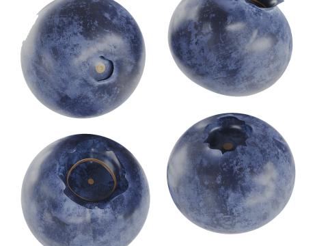 Blueberries Model 3D