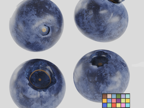 Blueberries 3D 모델