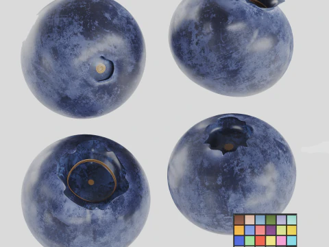 블루베리 3D 모델