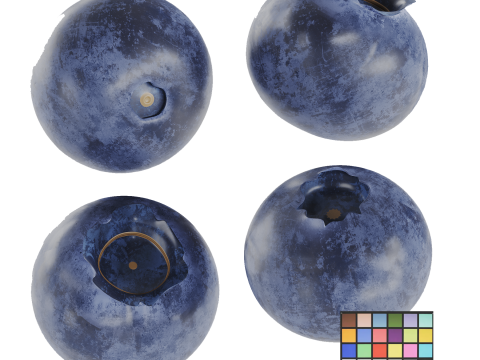 Blueberries 3D 모델